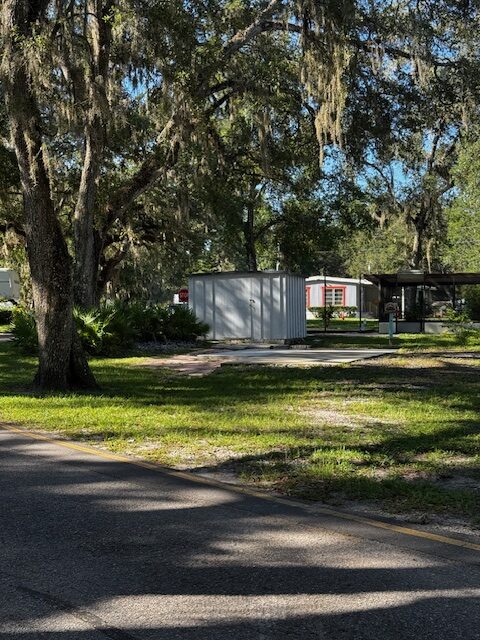 Lot 436